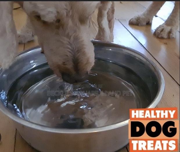 Dog Stainless Steel Water Bowl · Photo 2