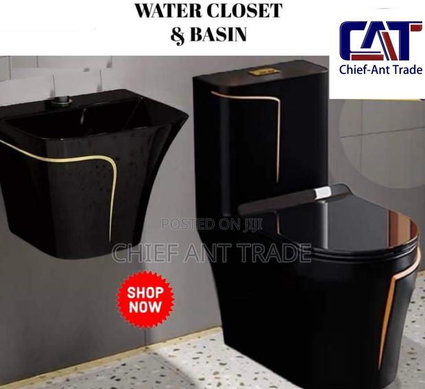 Toilet Seat Wc With Basin Black and Gold W652s + HGB-1 · Photo 3