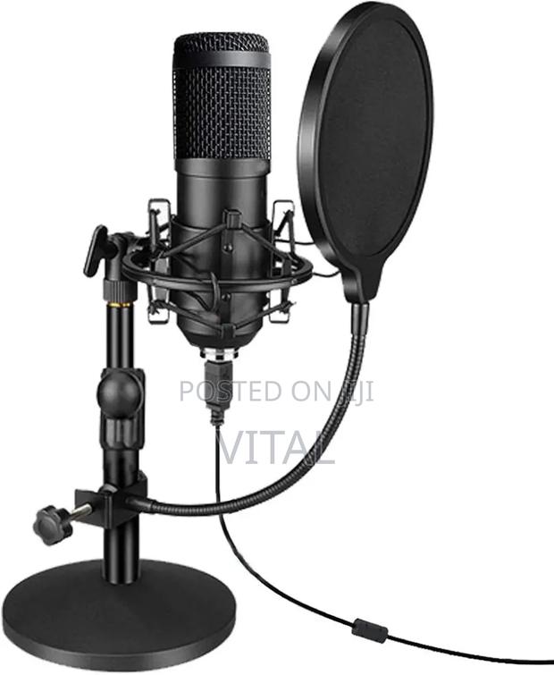 Usb Mic Sudotack photo 3