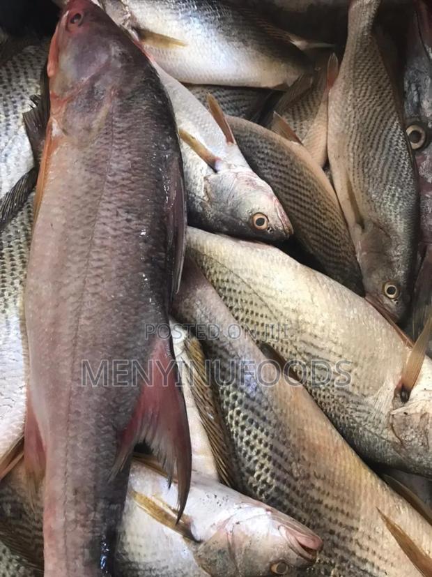 Fresh Cassava Fish in Accra - Wholesale Retail · Photo 2