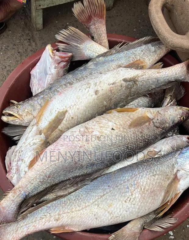 Fresh Cassava Fish in Accra - Wholesale Retail · Photo 3