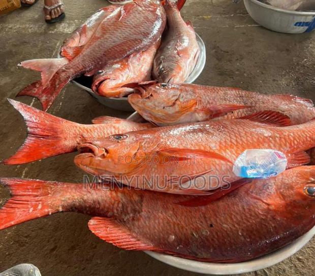 Fresh Red Snapper - Wholesale Retail In Accra · Photo 1
