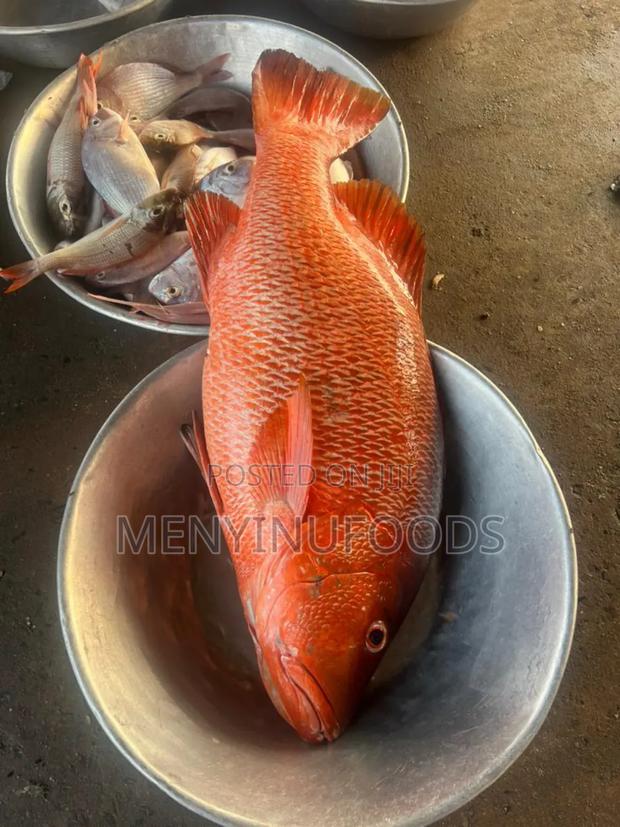 Fresh Red Snapper - Wholesale Retail In Accra · Photo 2