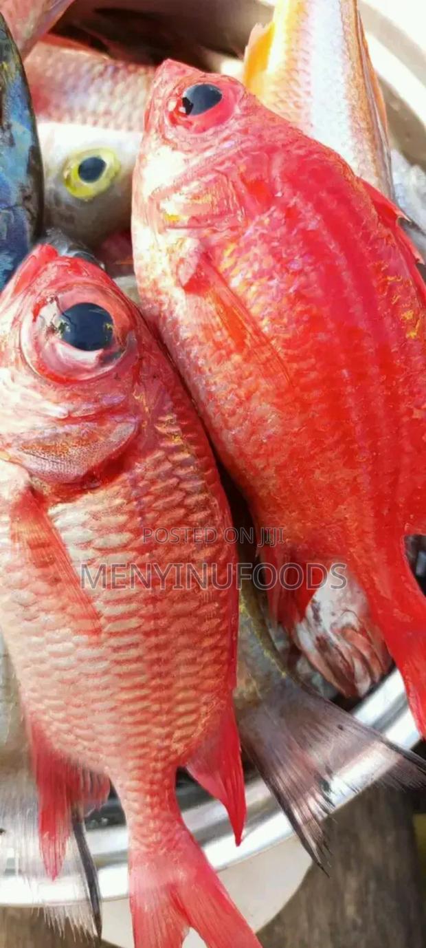 Fresh Red Snapper - Wholesale Retail In Accra · Photo 3