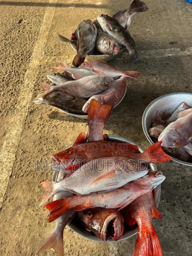 Fresh Red Snapper - Wholesale Retail In Accra · Photo 4