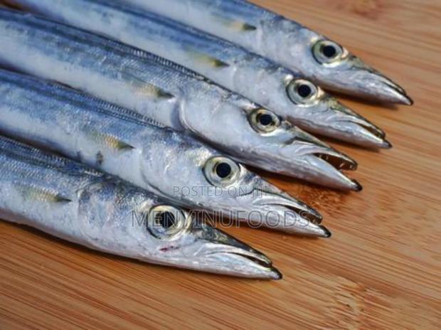 Fresh Barracuda Fish in Accra | Wholesale Retail · Photo 2