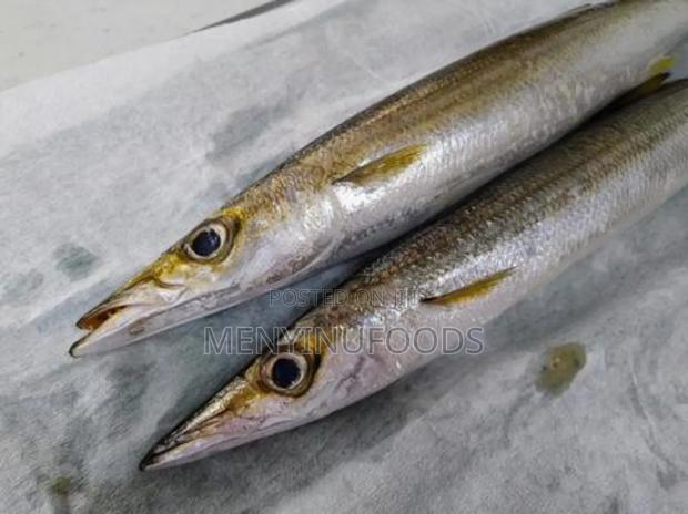 Fresh Barracuda Fish in Accra | Wholesale Retail · Photo 3
