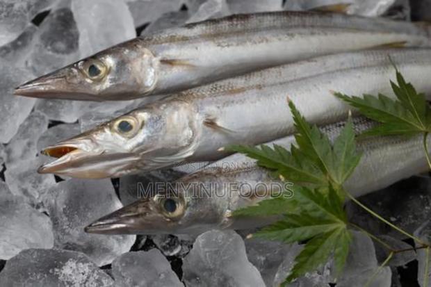 Fresh Barracuda Fish in Accra | Wholesale Retail · Photo 4