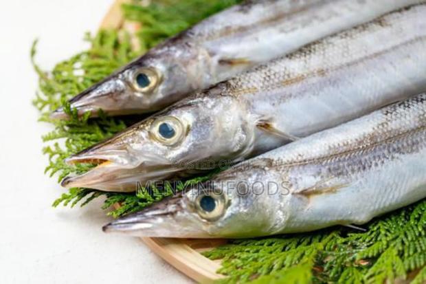 Fresh Barracuda Fish in Accra | Wholesale Retail · Photo 1