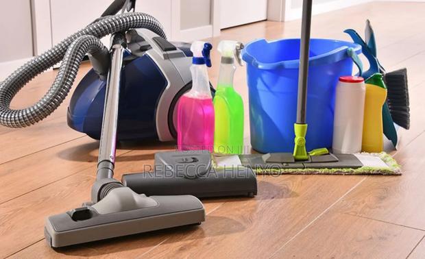 Spotless Professional Cleaning Services photo 3