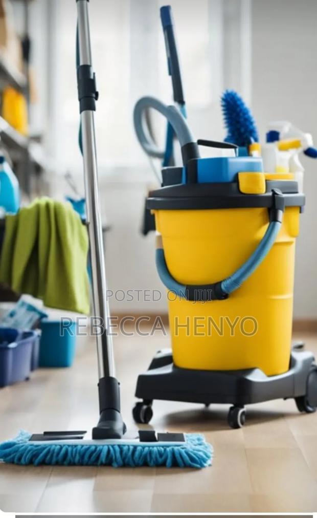 Spotless Professional Cleaning Services photo 2