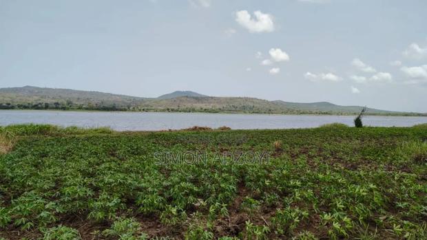 50 Acres River Front Land for Rent