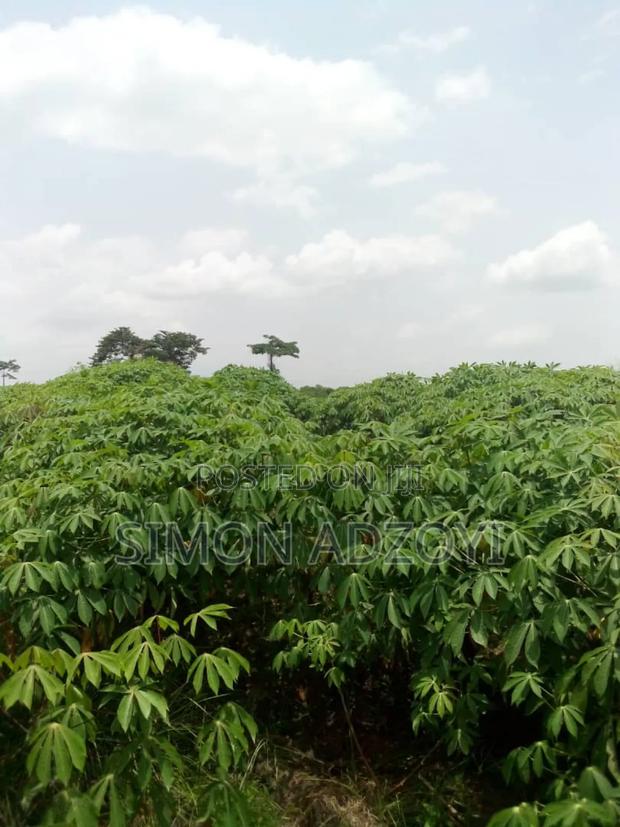 50,000 Acres of Farm Land for Sale