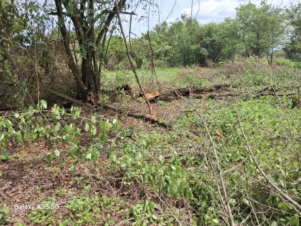 50,000 Acres of Farm Land for Sale