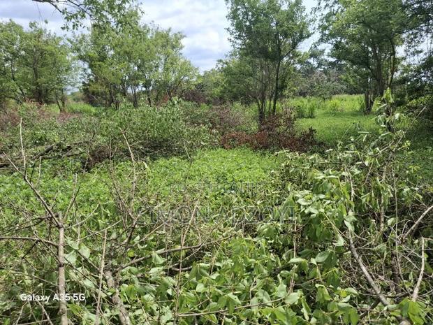 50,000 Acres of Farm Land for Sale