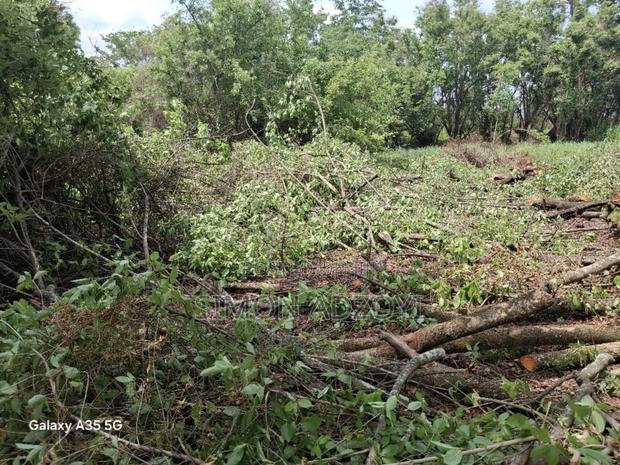 50,000 Acres of Farm Land for Sale