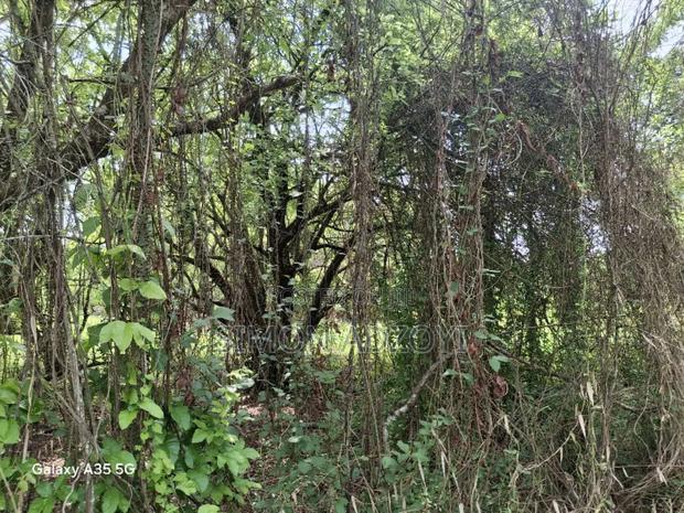 50,000 Acres of Farm Land for Sale