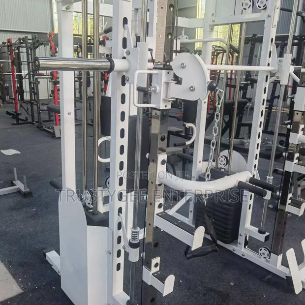 Smith Machine With 100kg Olympic Weight Plates photo 4