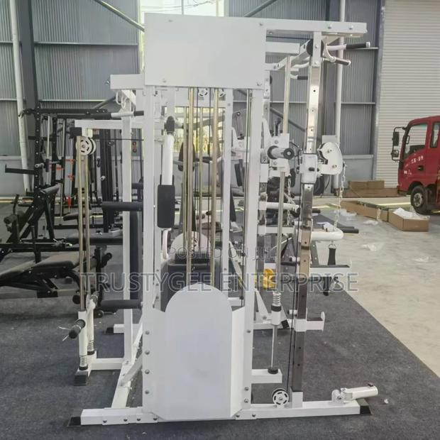 Smith Machine With 100kg Olympic Weight Plates photo 6