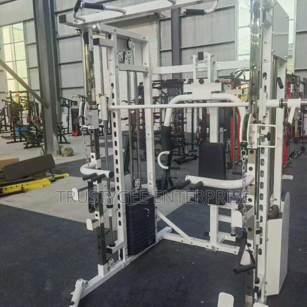 Smith Machine With 100kg Olympic Weight Plates photo 7
