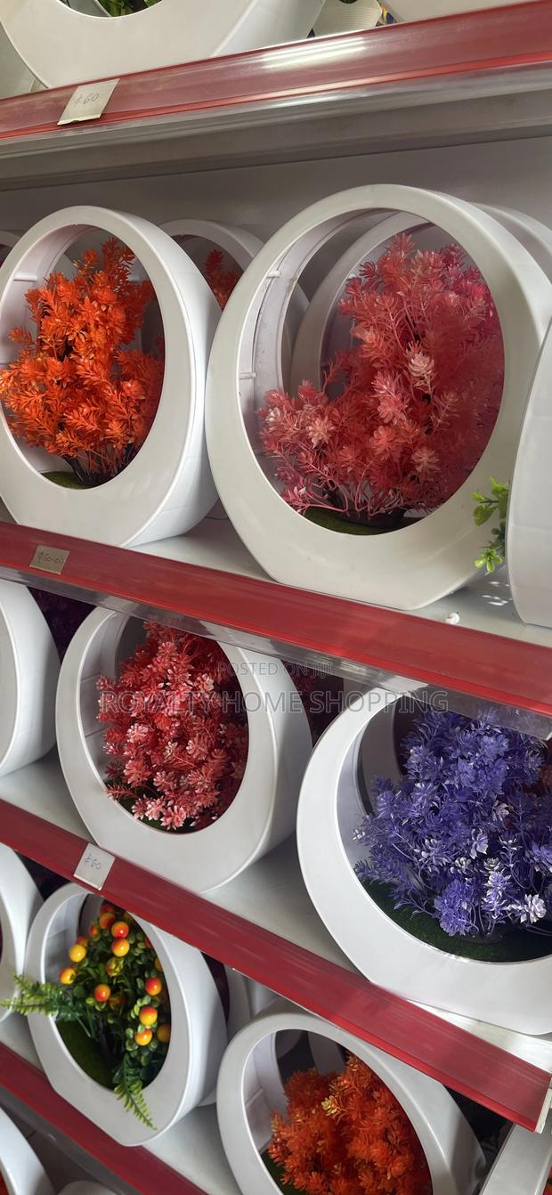 Flowers For Interior Decorations photo 3