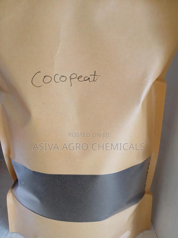 Cocopeat for Nursery and Planting