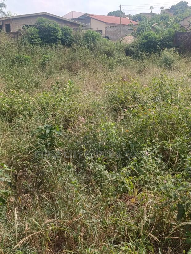 2 Plots of Land for Sale at Ayawaso Pokuase, photo 4