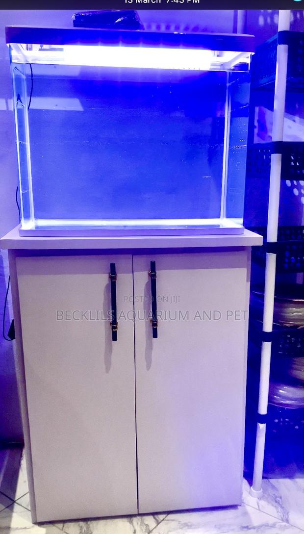 2 Feet. Aquarium Package( It Includes Fishes) · Photo 2