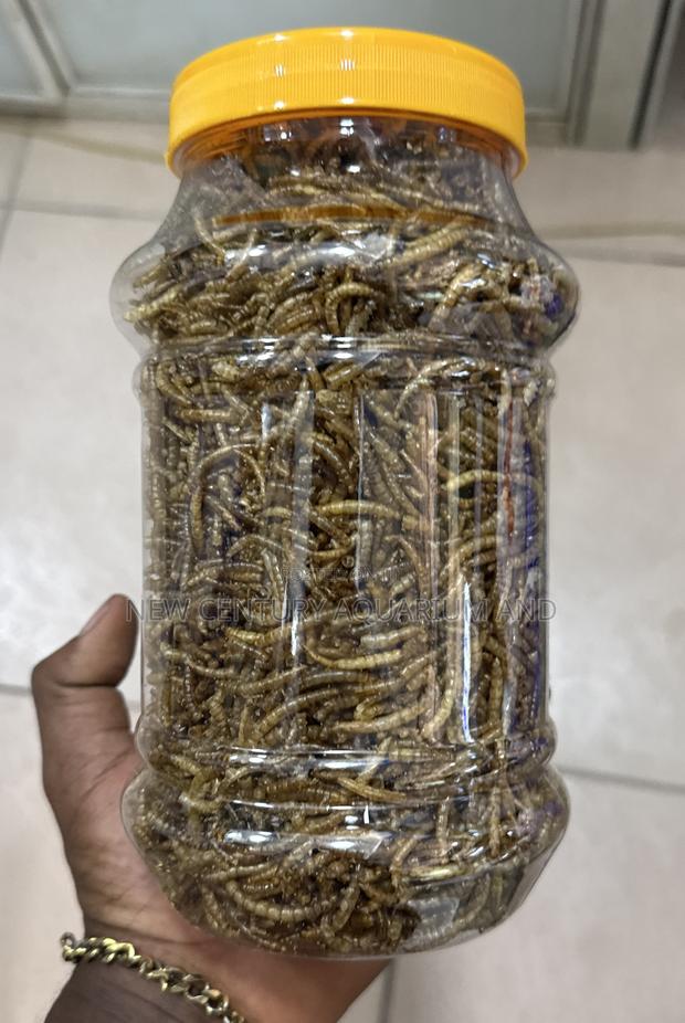 Dried Meal Worms / Fish Feed photo 2