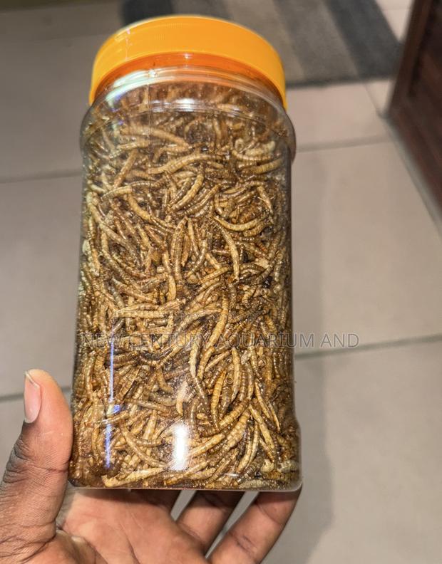 Dried Mealworms/Fish Feed photo 2