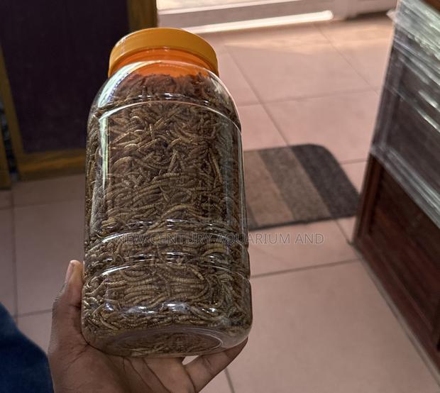 Dried Mealworms photo 2
