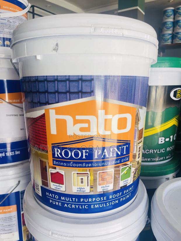 Hato Roof Paint photo 3