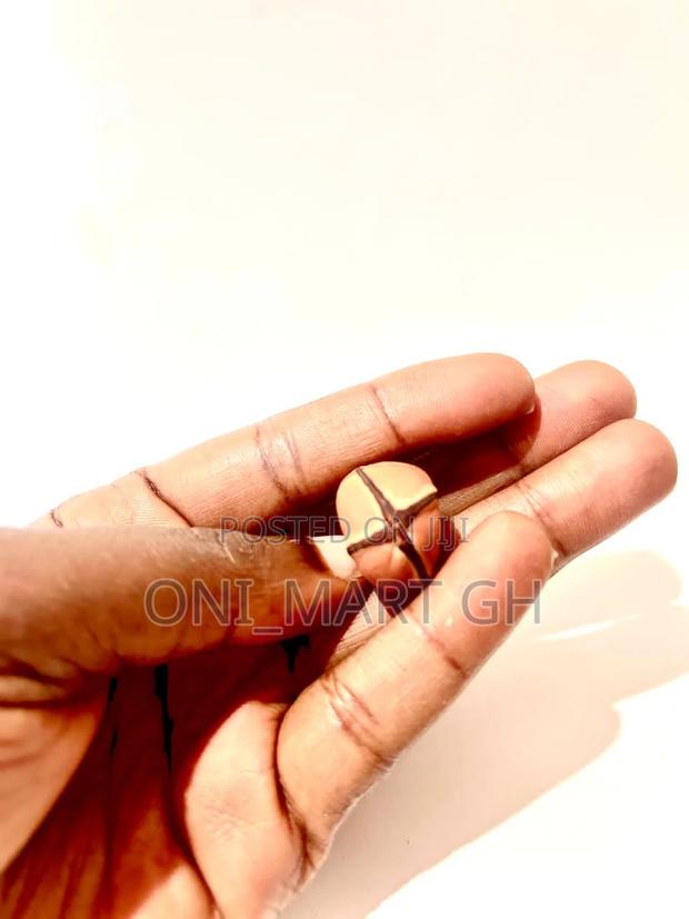 African Kola Nut photo 6