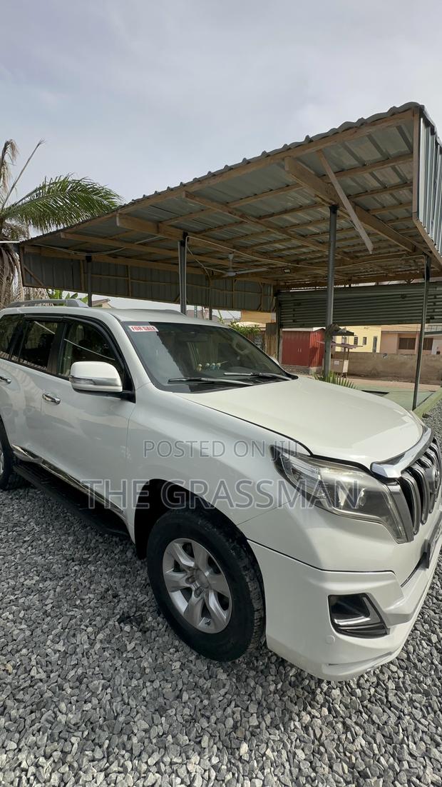 Pearl White Spraying Prado, V8 photo 4