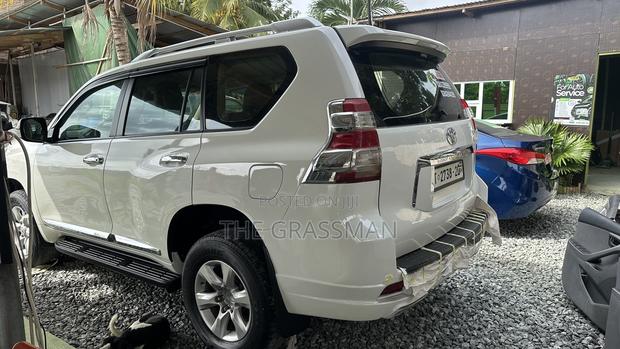Pearl White Spraying Prado, V8