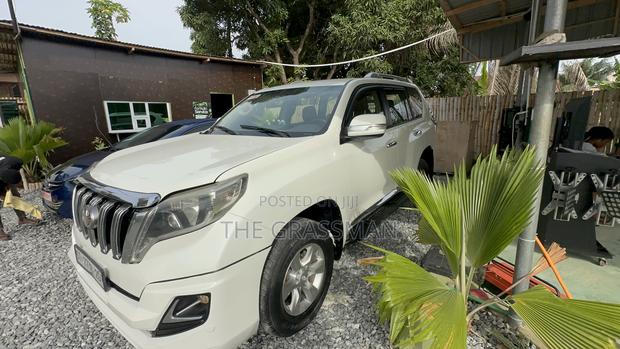Pearl White Spraying Prado, V8 photo 3