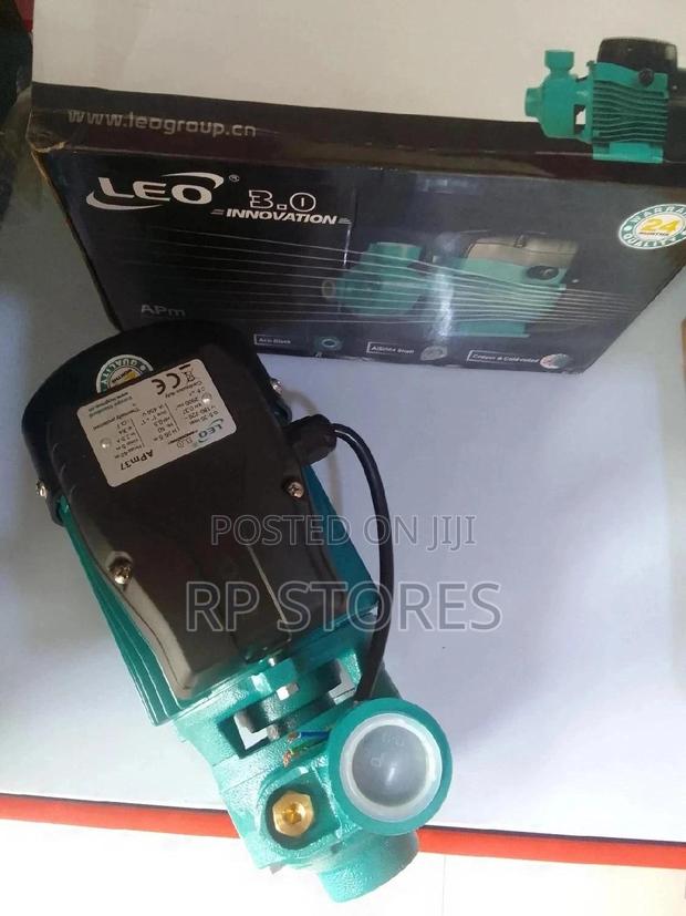Leo Water Pump · Photo 3