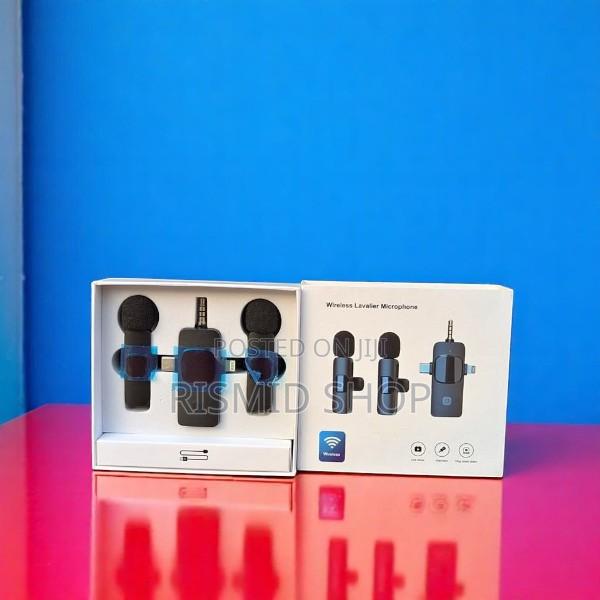 2 in 1microphone(167