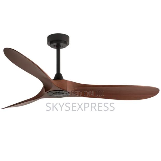 Decorative Ceiling Fan