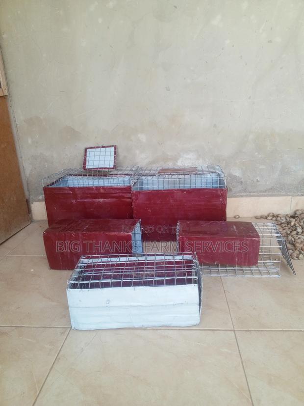 Rabbit/Grasscutter Catching/Transporting Cages · Photo 3