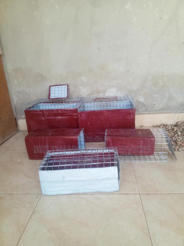 Rabbit/Grasscutter Catching/Transporting Cages · Photo 4