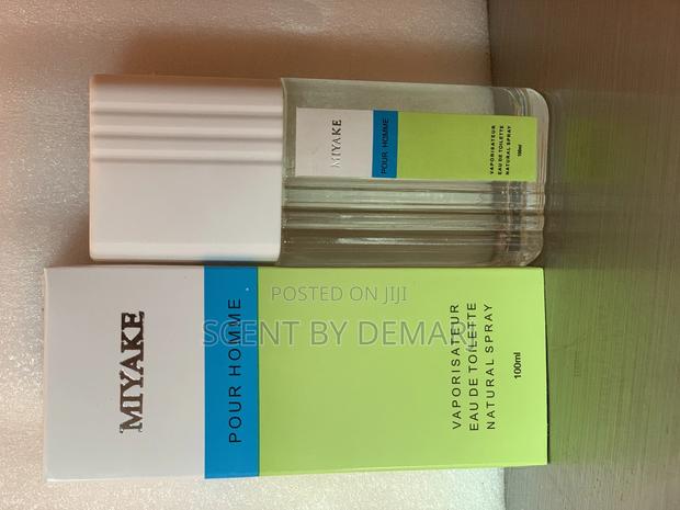 Miyake Pour Homme image 2