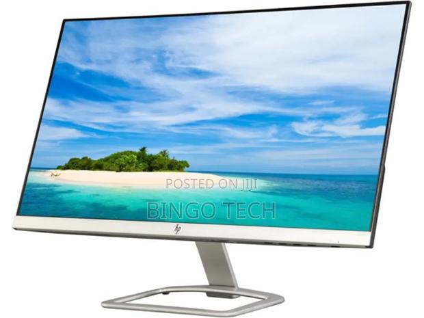 Hp Monitor 24