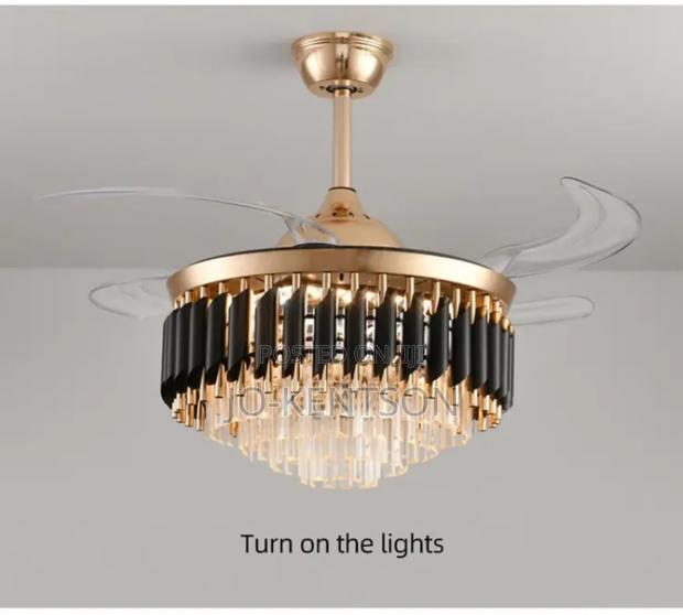 Stunning Fan Light photo 2