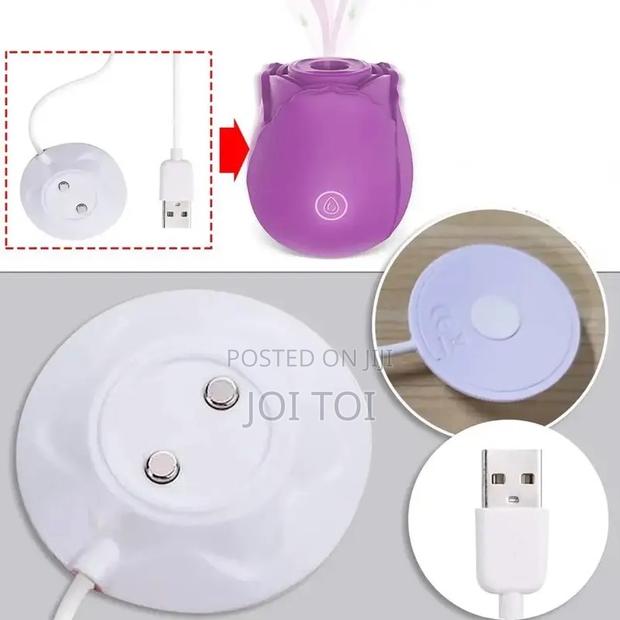 Rose Vibrator Charger · Photo 4