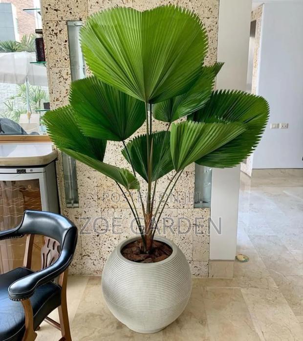 Exotic Plants photo 2