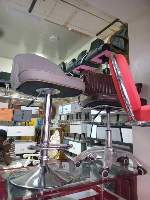 Modern and Classic Salon Chair