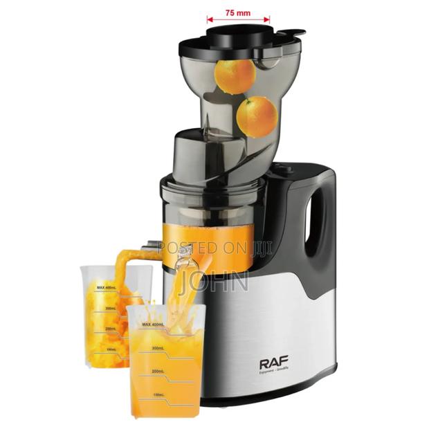 Raf Slow Juicer