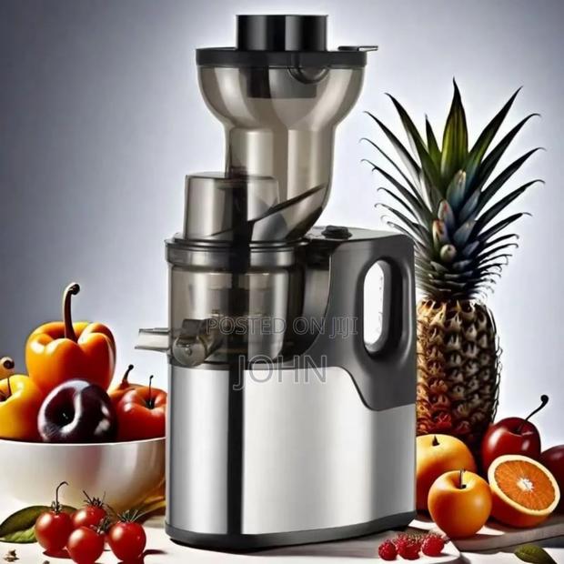 Raf Slow Juicer photo 4