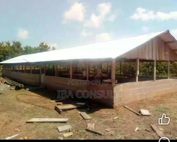 Poultry Farm Structure on 2 Plots for Sale at Ayikuma